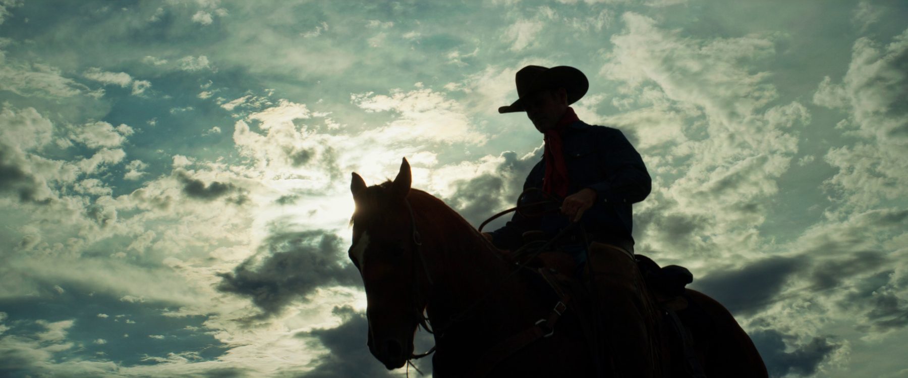 A rider on horseback silhouetted against a bright sky